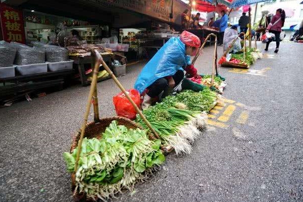 街边摊贩蔬菜安全检测依靠农药残留检测仪